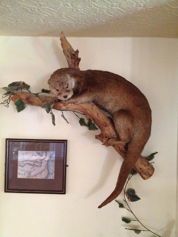 The Lazy Otter Bed & Breakfast Stretham Luaran gambar